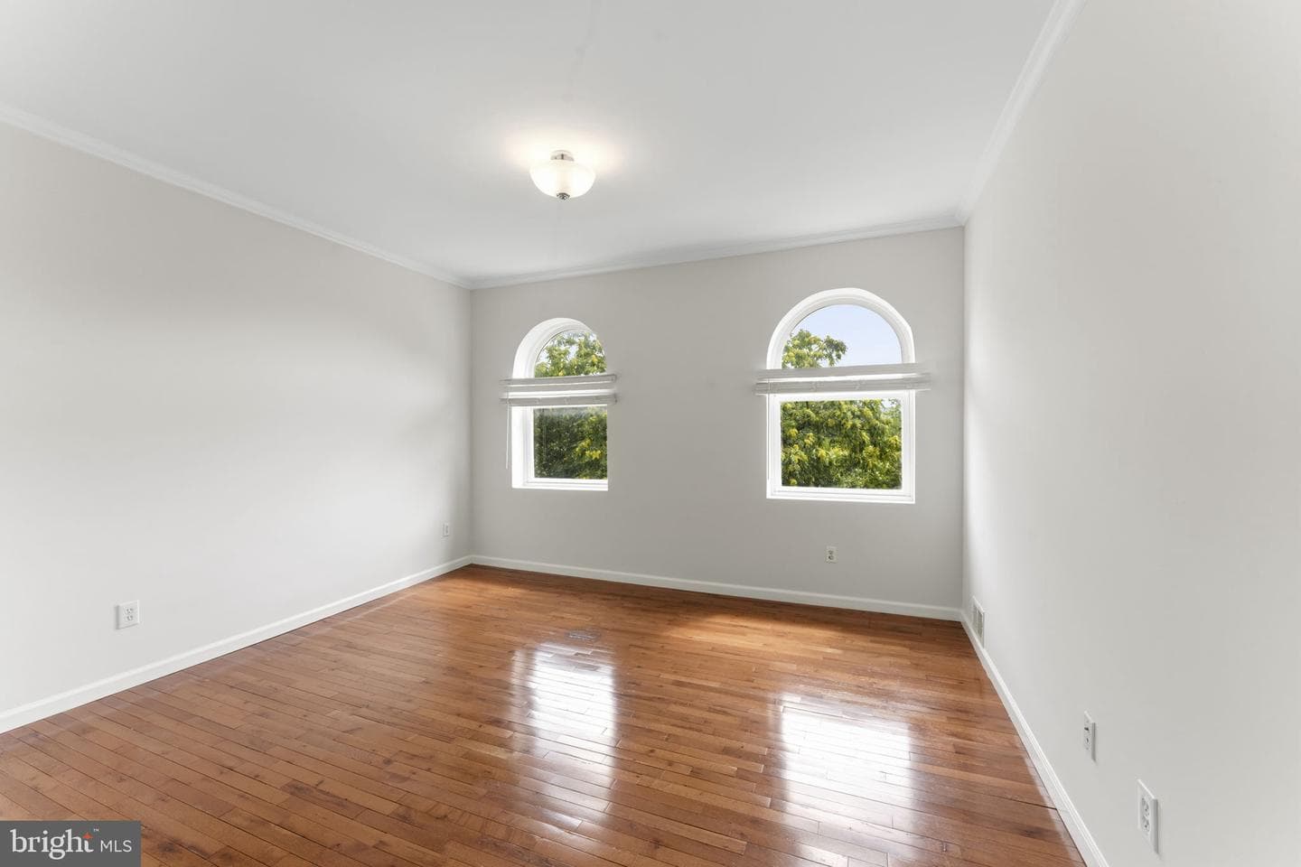 1110 Guilford Avenue photo 29