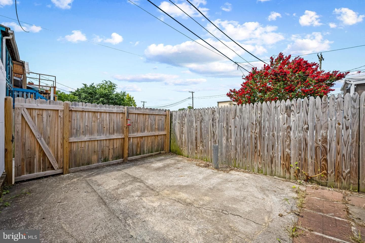 1109 W 40th Street photo 29