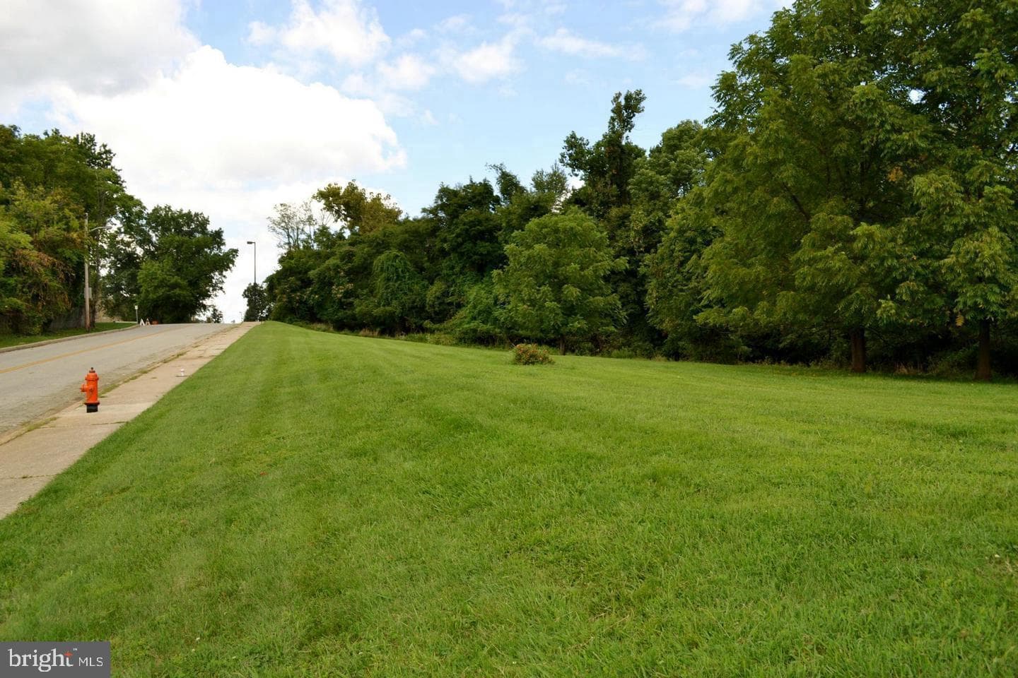 317 Font Hill Avenue photo 34