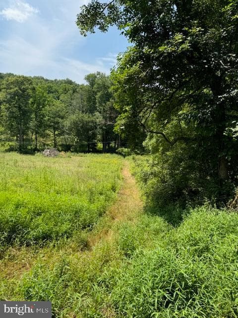 1507 Freeland Road photo 15