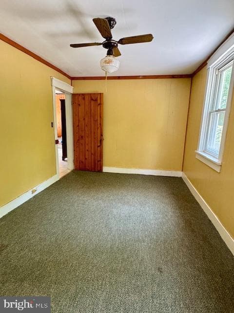 1507 Freeland Road photo 26