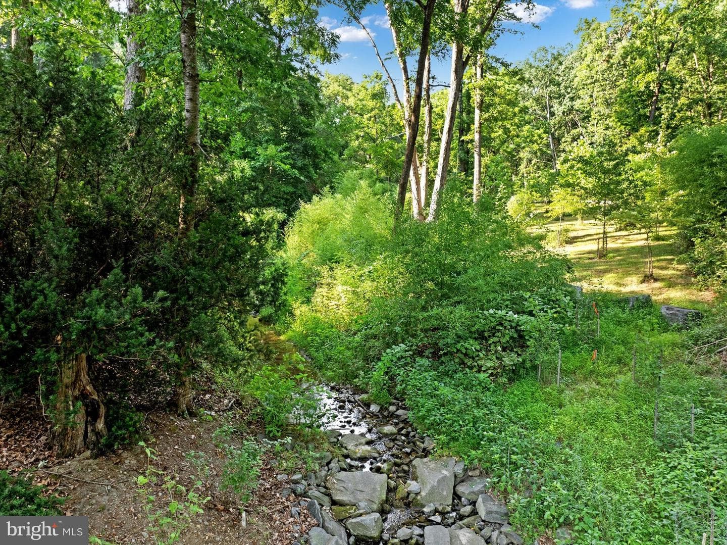 606 Freeland Road photo 5
