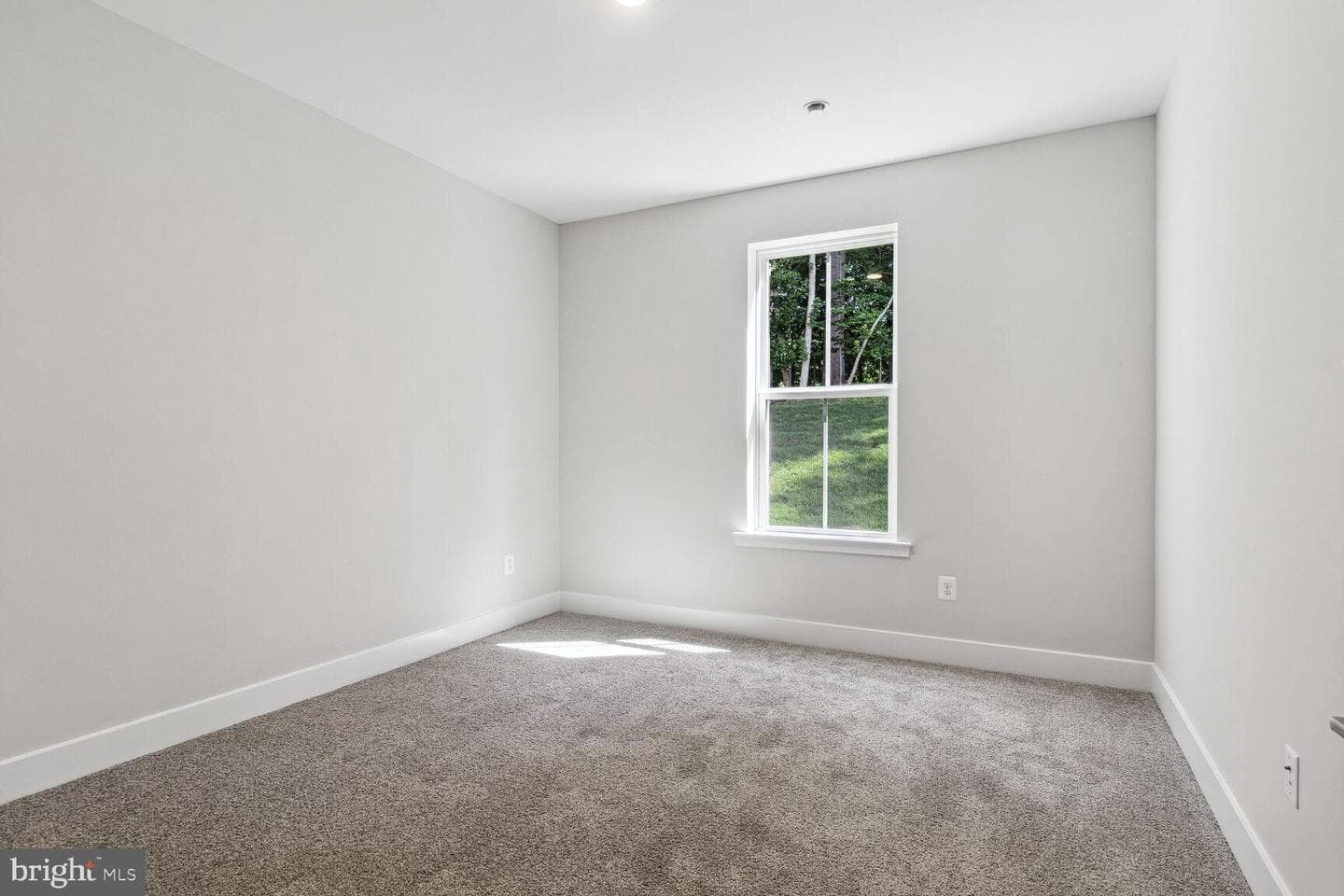 Tbd Milner Road #mulberry photo 24