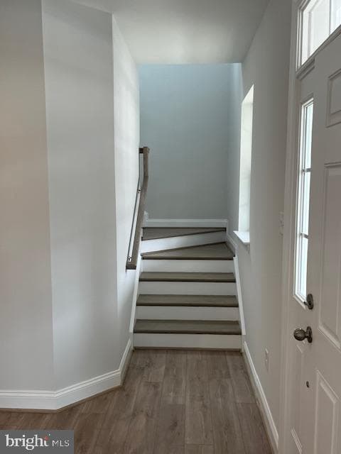 10703 Larkswood Street photo 20