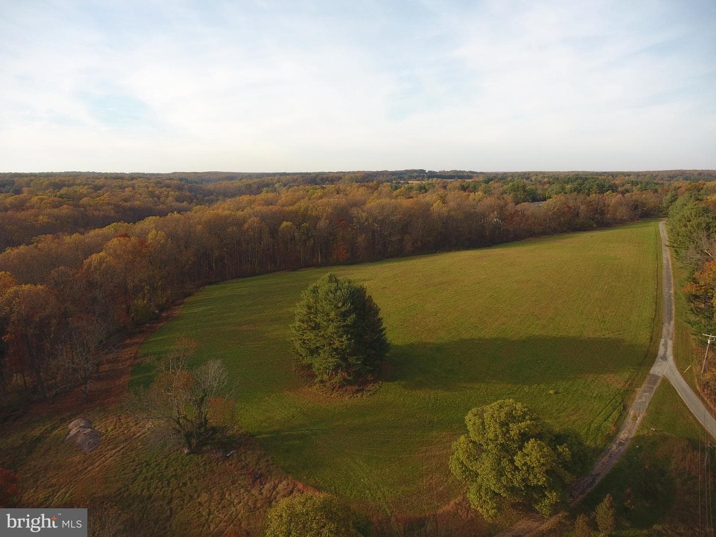 1501 - C Peachwood Lane photo 3