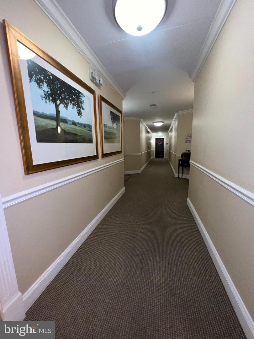 900 Red Brook Boulevard #101 photo 12
