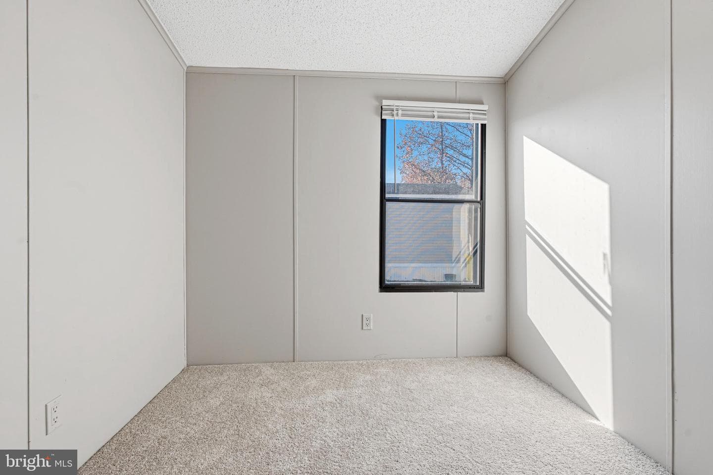 136 Rodeo Circle photo 16