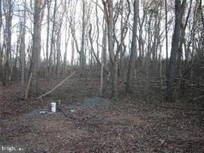 18707 Frederick Road photo 8