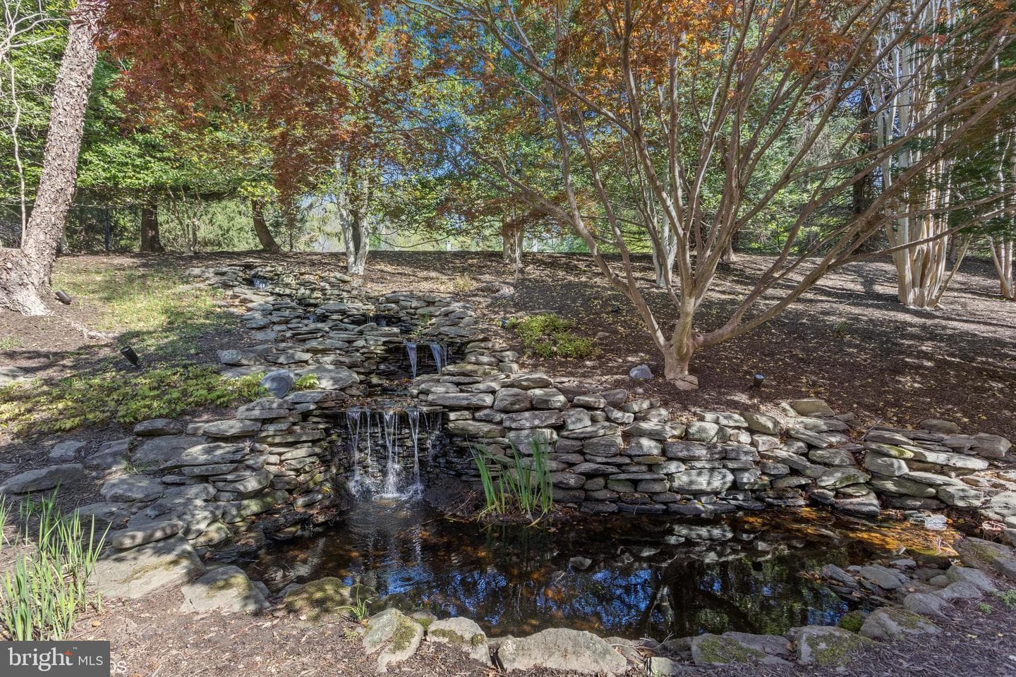 1308 Musgrove Road photo 6