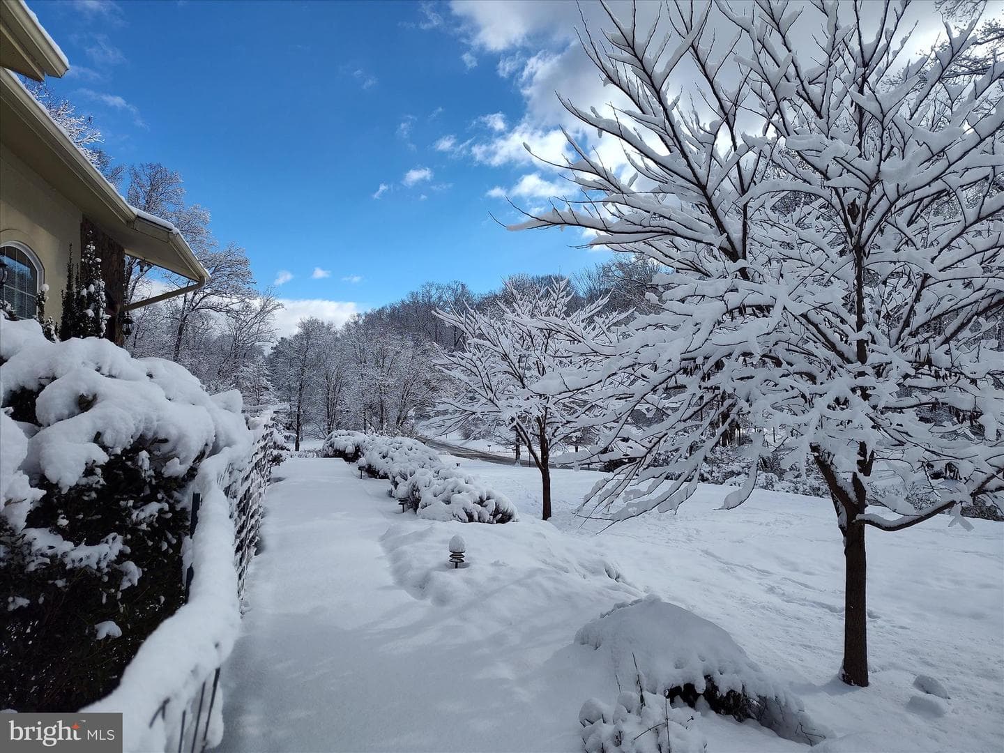 2312 Velvet Ridge Drive photo 53