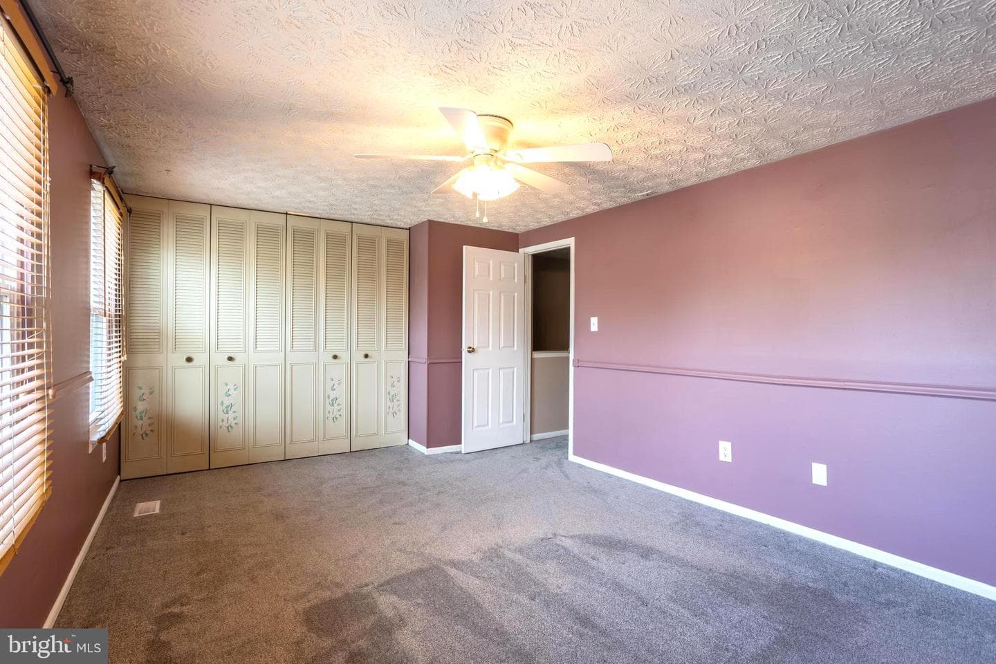 39 Trailwood Road photo 14