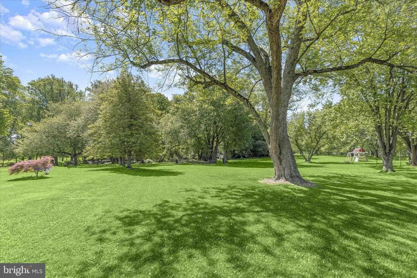 10119 Bird River Rd photo 41