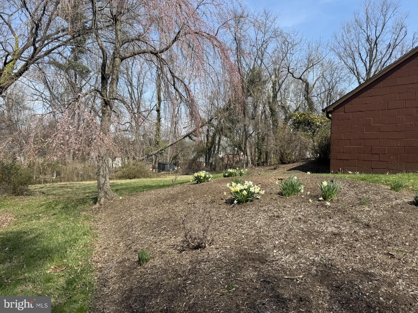1213 Trappe Lane photo 47