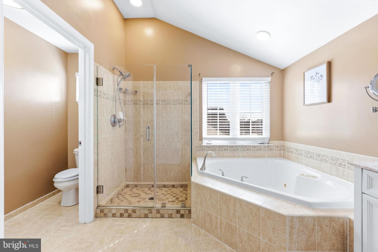 834 Crystal Palace Court photo 42
