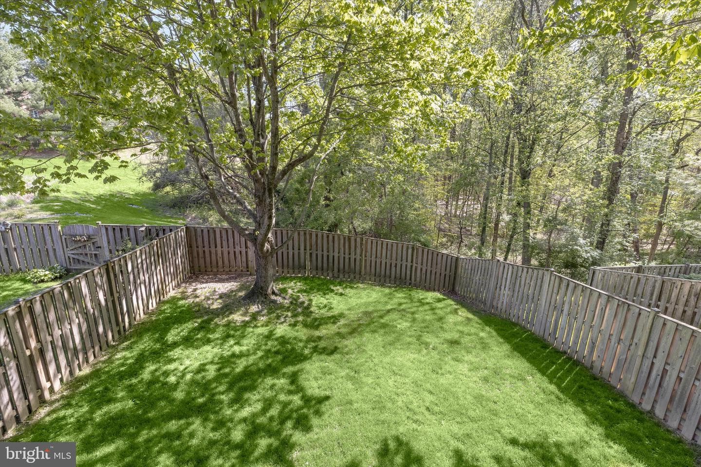 4016 Forest Valley photo 56