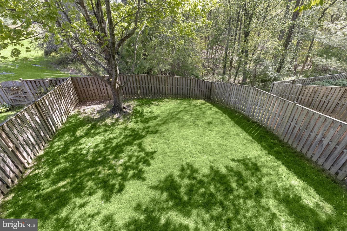 4016 Forest Valley photo 57
