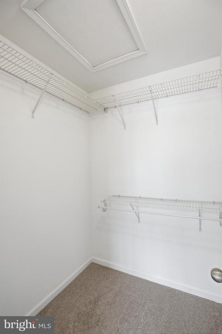 9322 Master Derby Drive photo 21