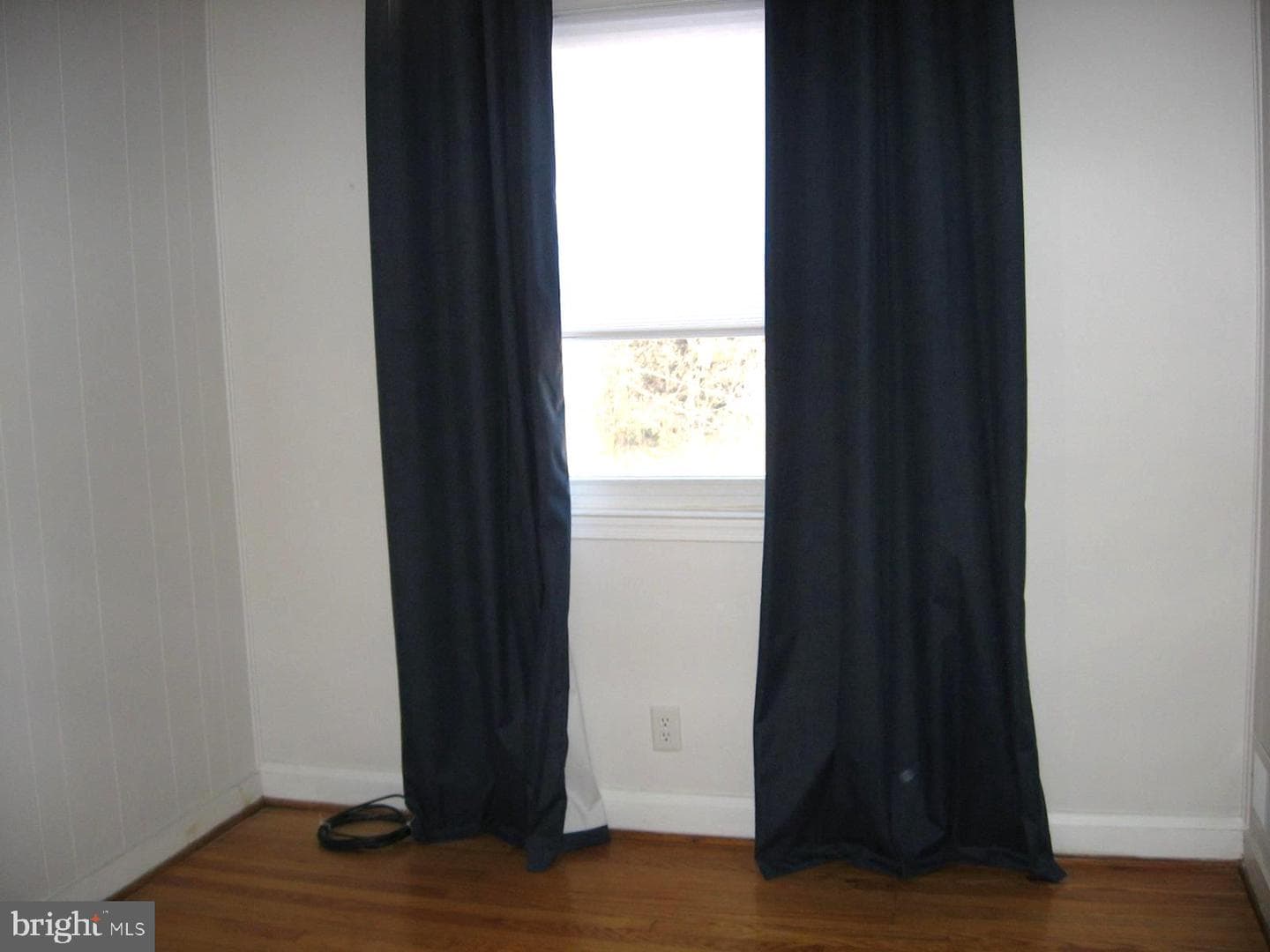 4 Wilfred Court photo 19