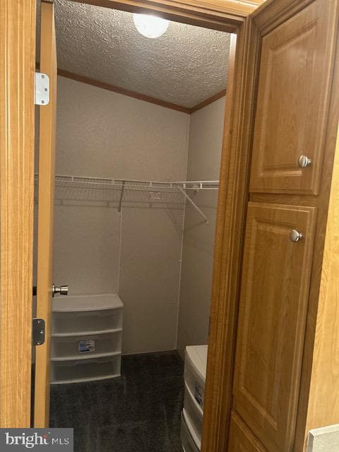 3202 Foxglove Lane photo 28