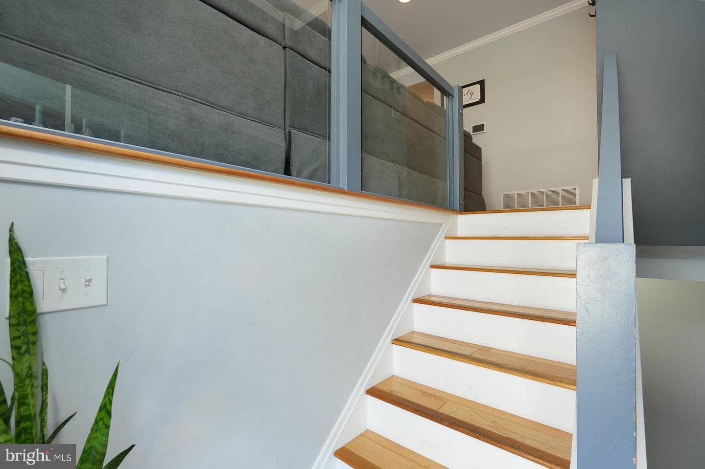319 Sassafras Road photo 4
