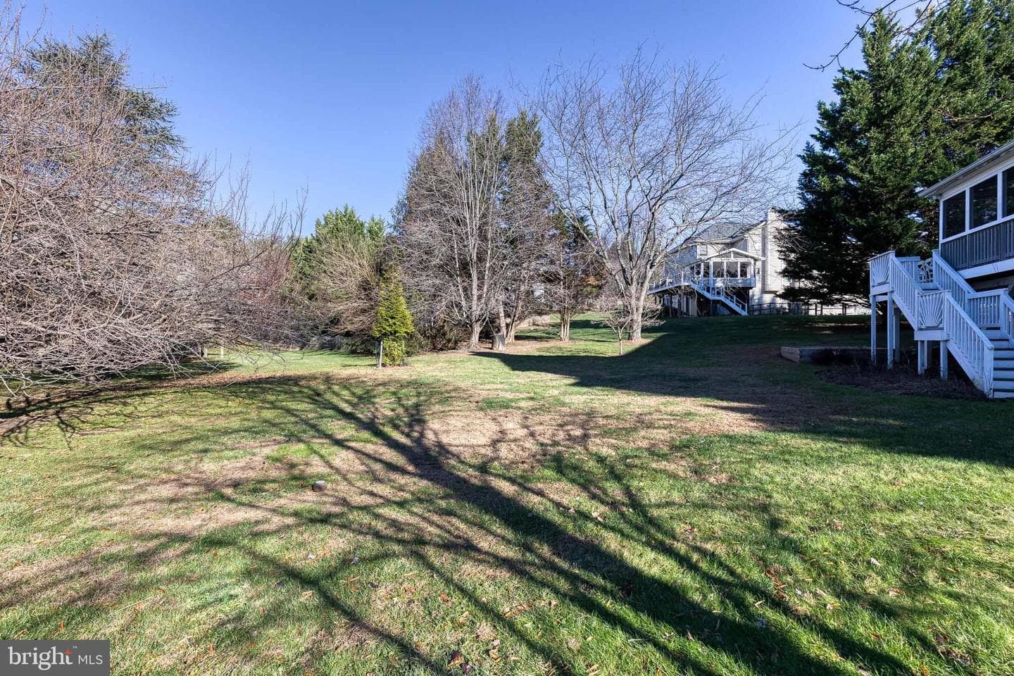 50 Beecham Court photo 53