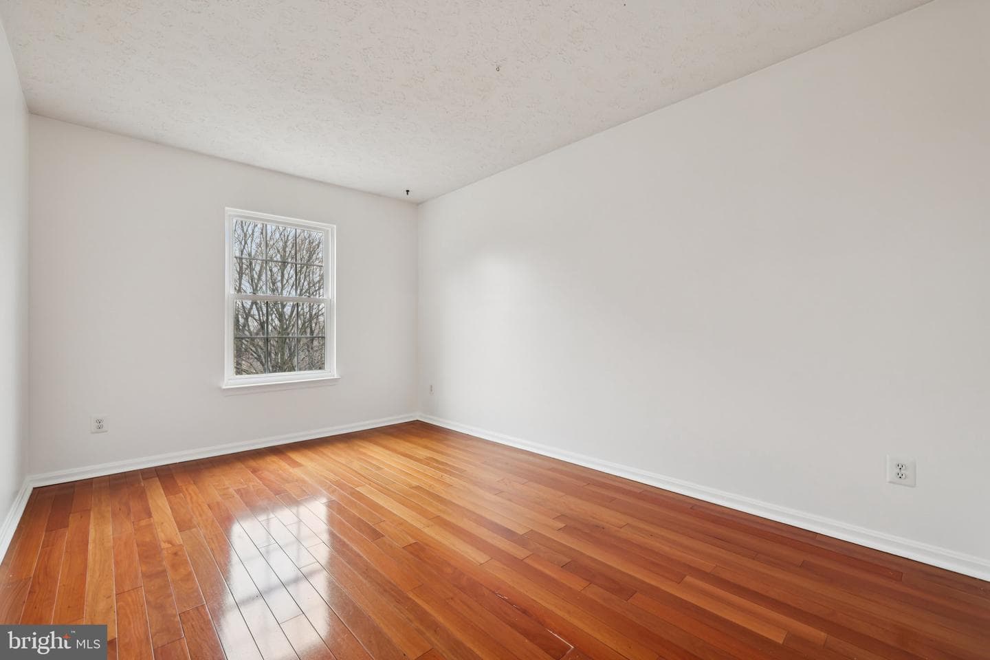 159 Carolstowne Road photo 22