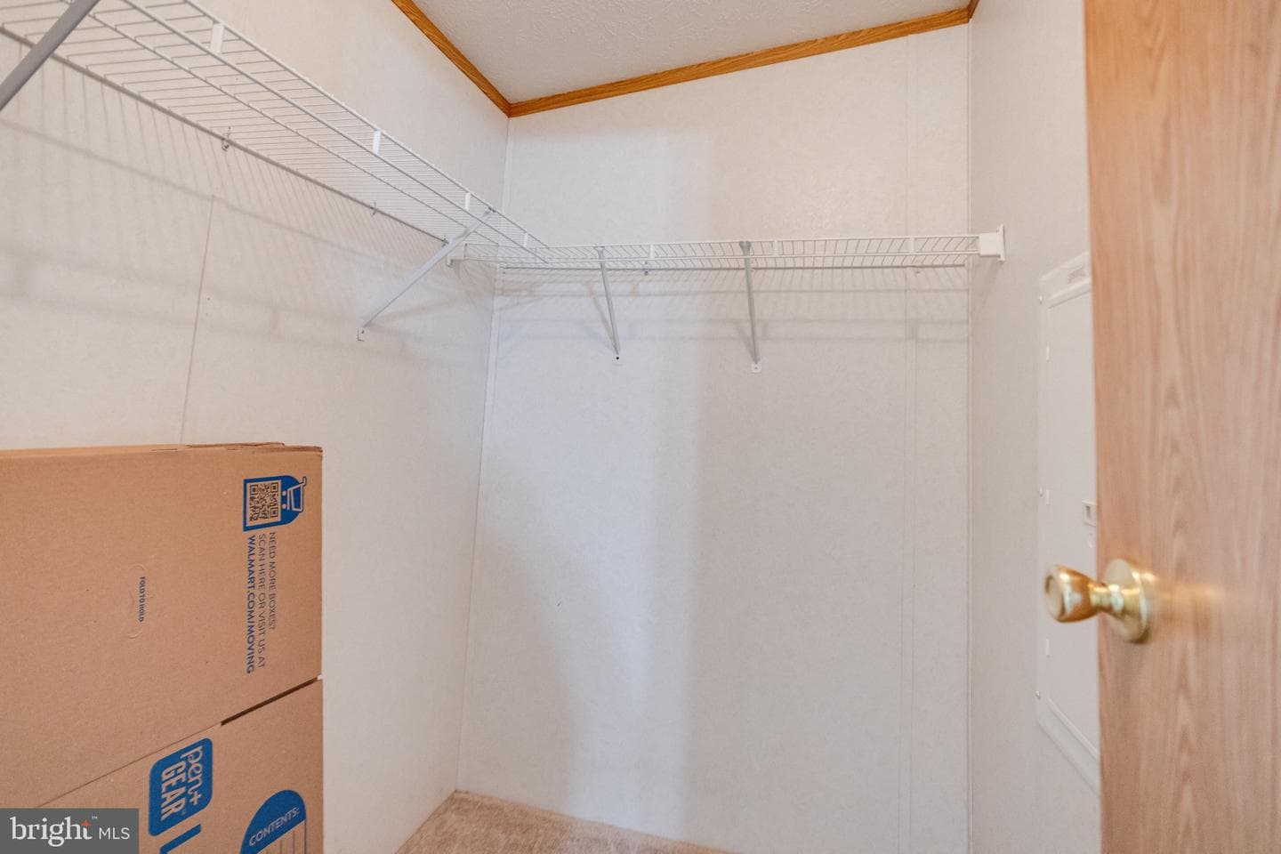 3202 Jonquil Lane photo 32