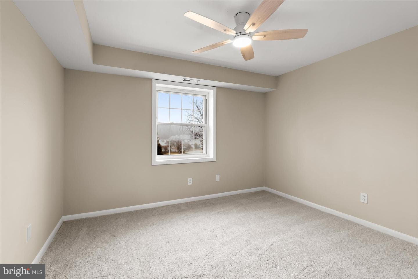 2 Elphin Court #302 photo 28
