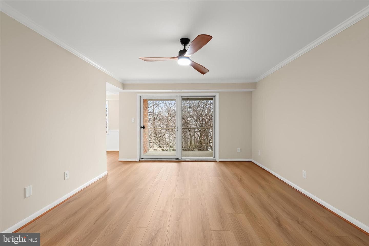 2 Elphin Court #302 photo 6