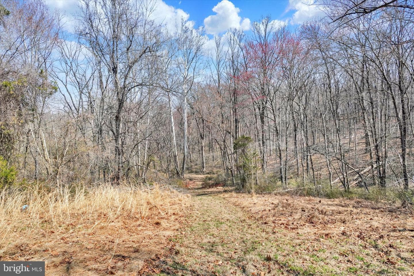 1020 Bernoudy Road photo 48
