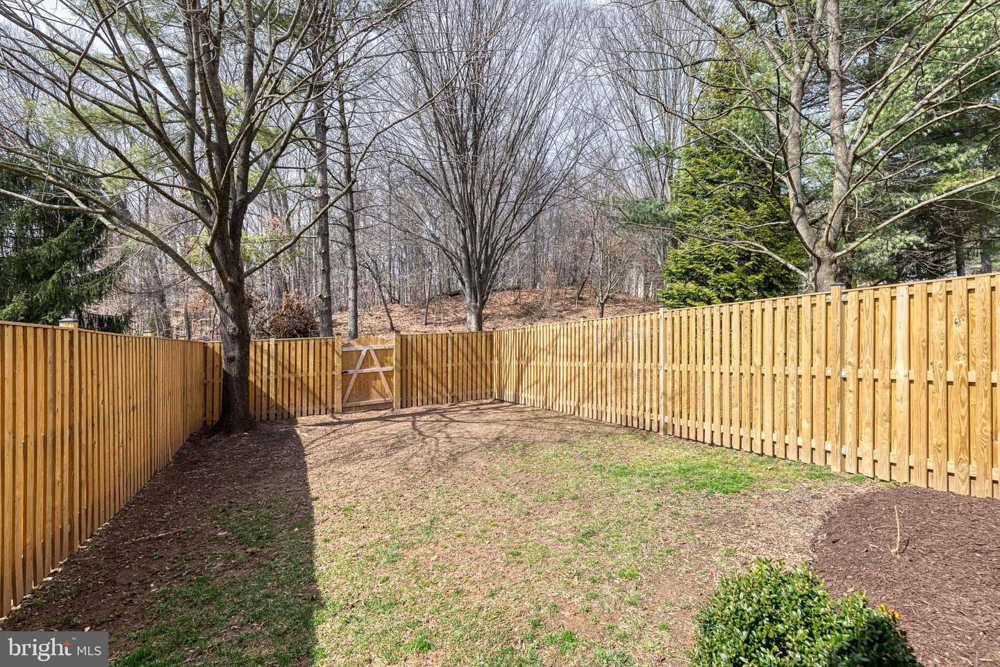 8612 Chelsea Bridge Way photo 4