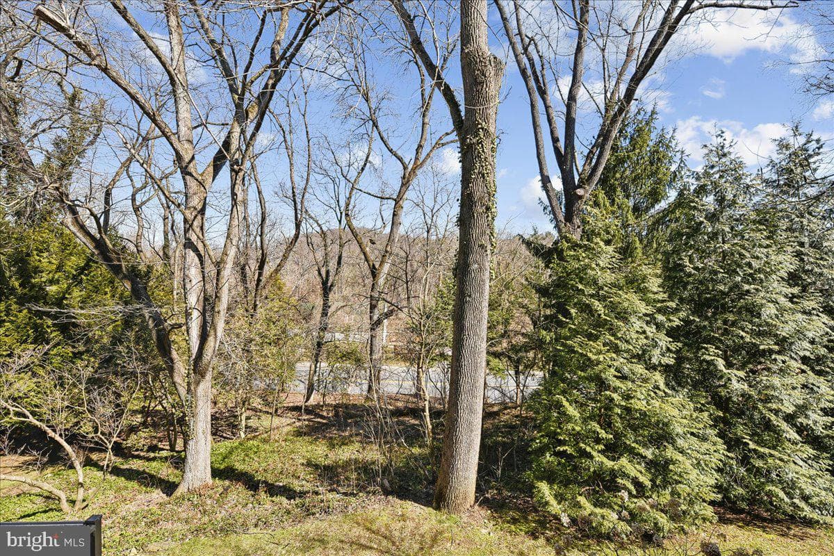 8029 Strauff Road #5 photo 52