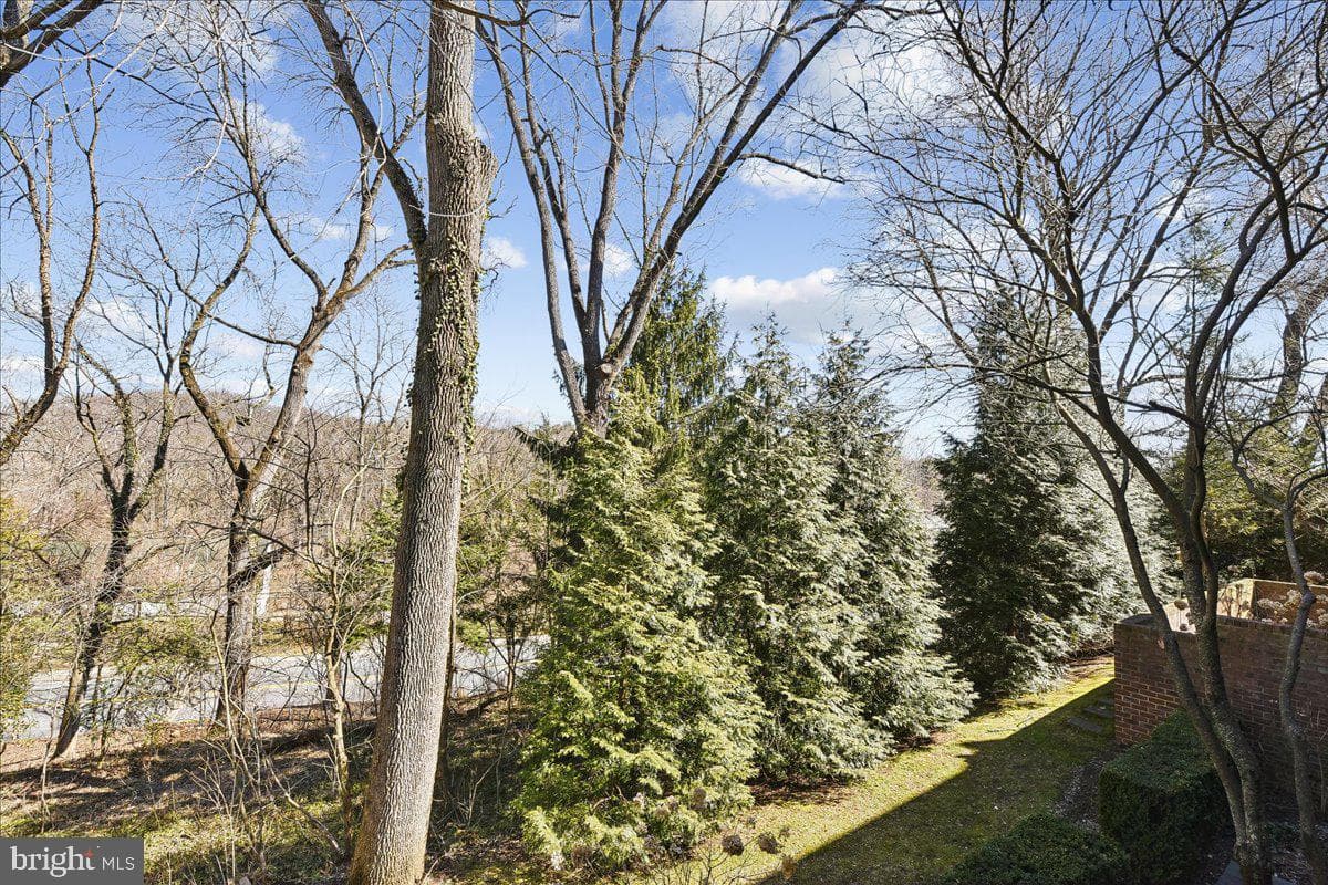 8029 Strauff Road #5 photo 53
