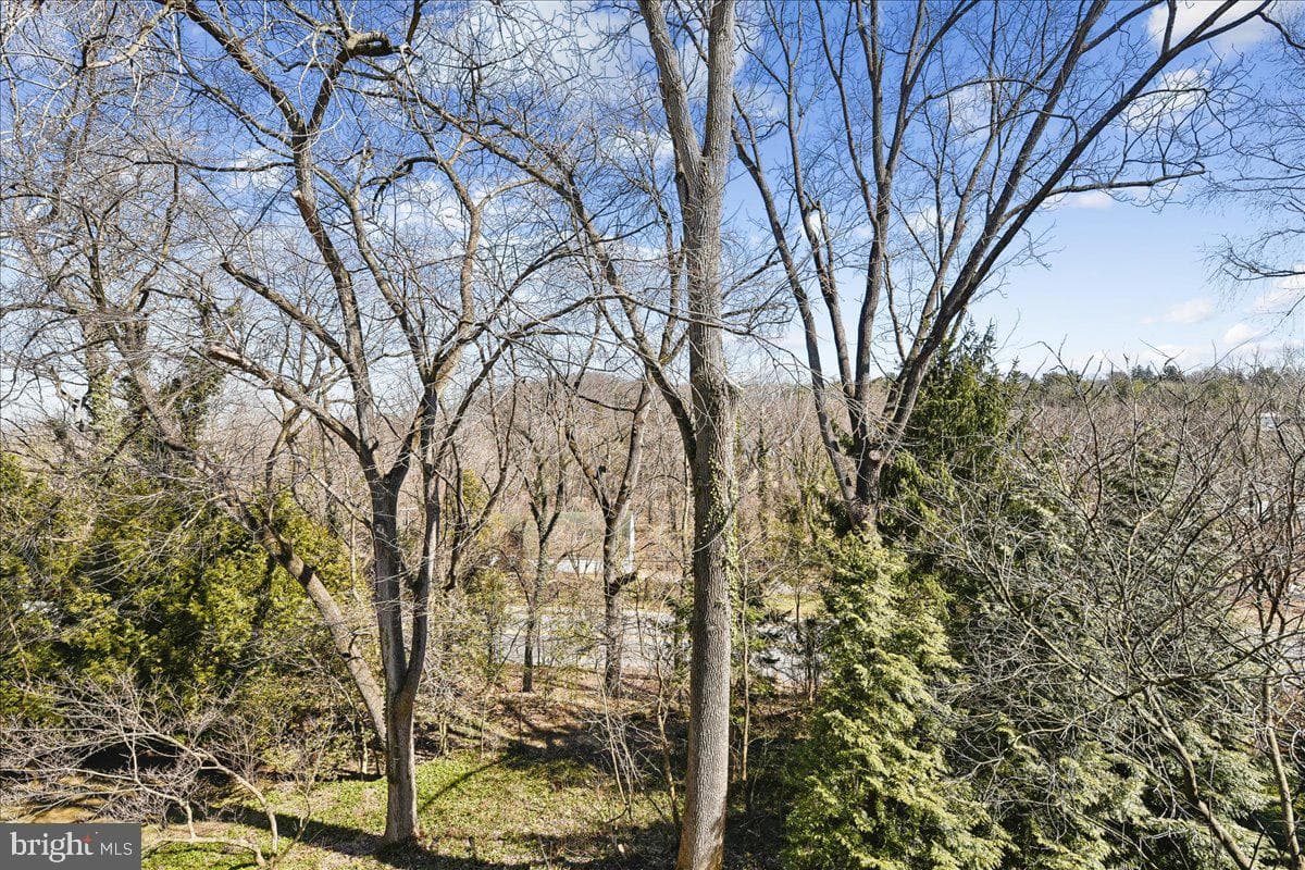 8029 Strauff Road #5 photo 56