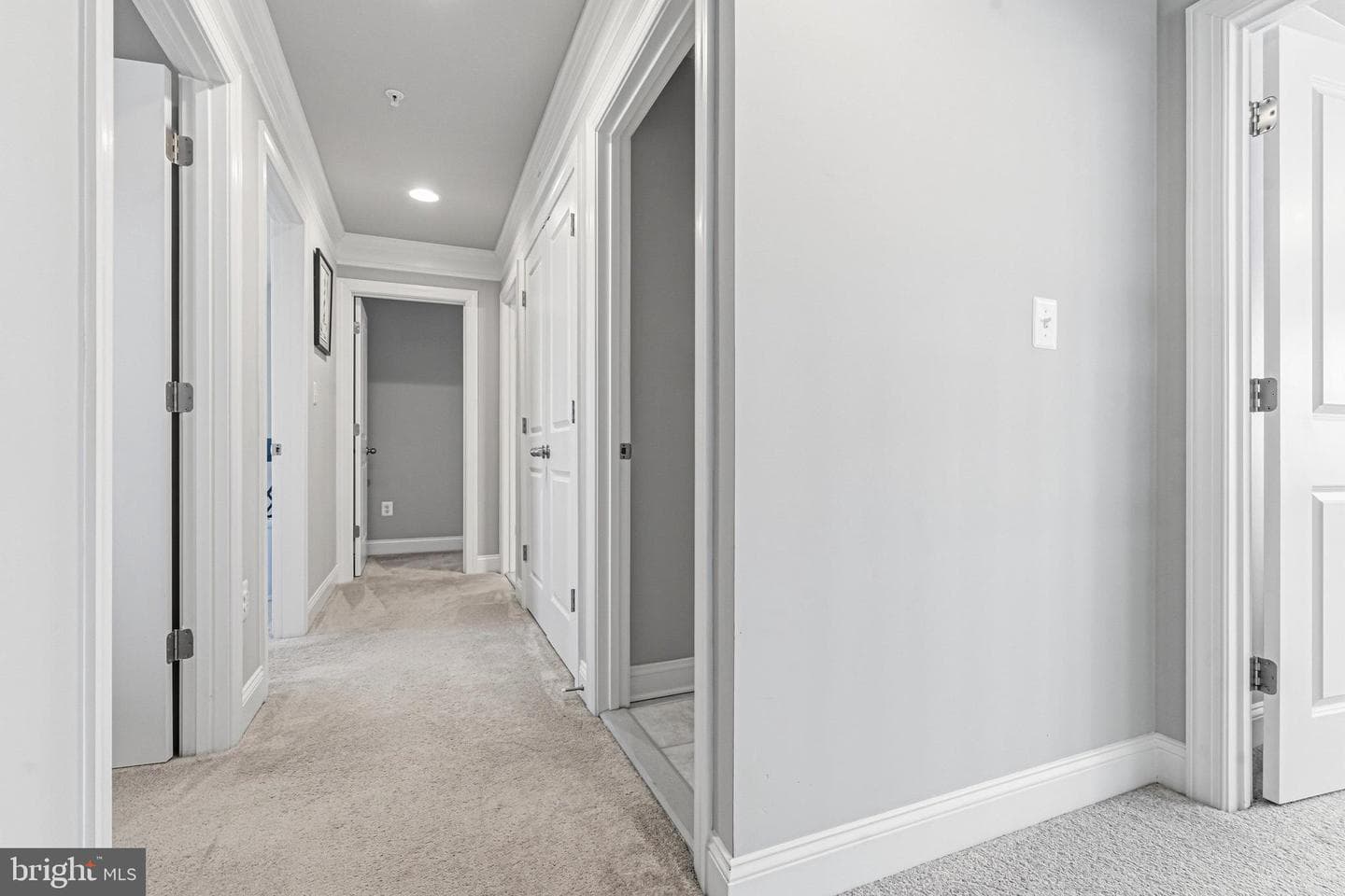 113 Harding Street photo 24