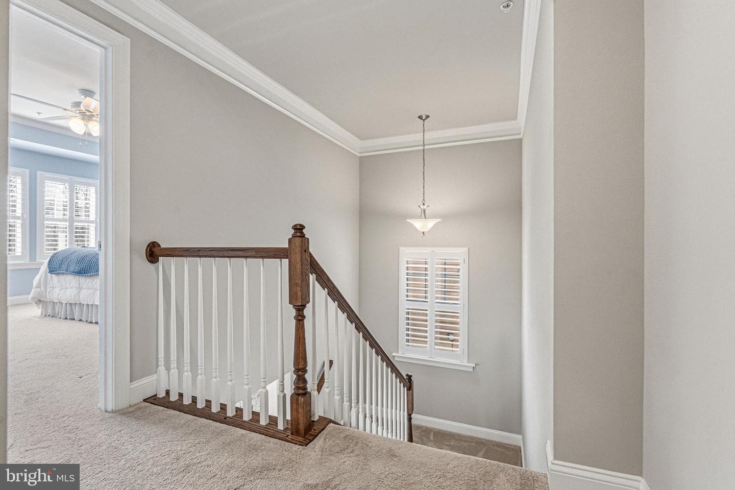 113 Harding Street photo 37