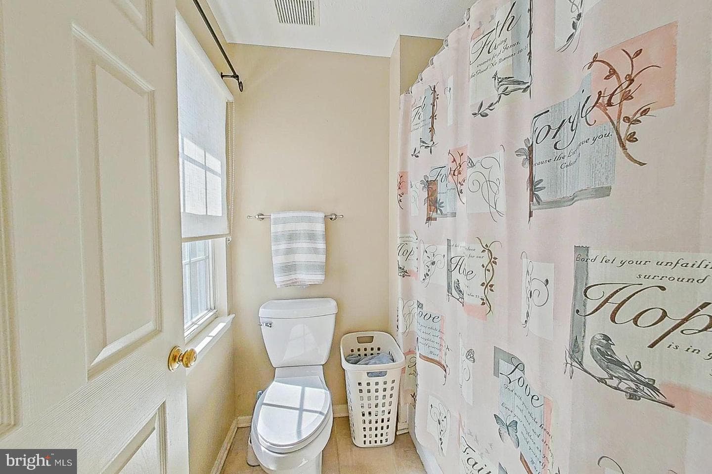 3 Lemuels Court photo 26