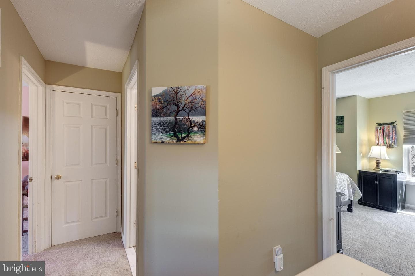 3439 Barkley Woods photo 21