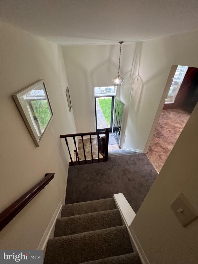 95 Blondell Court photo 33