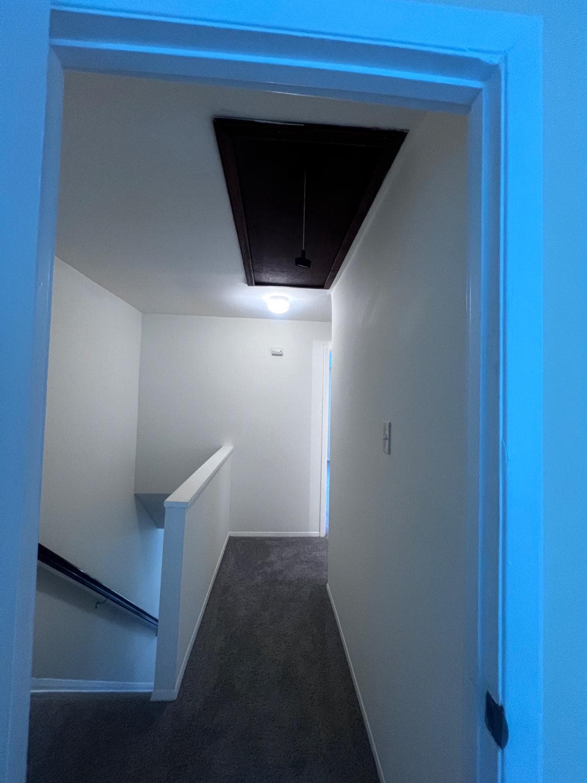 95 Blondell Court photo 35