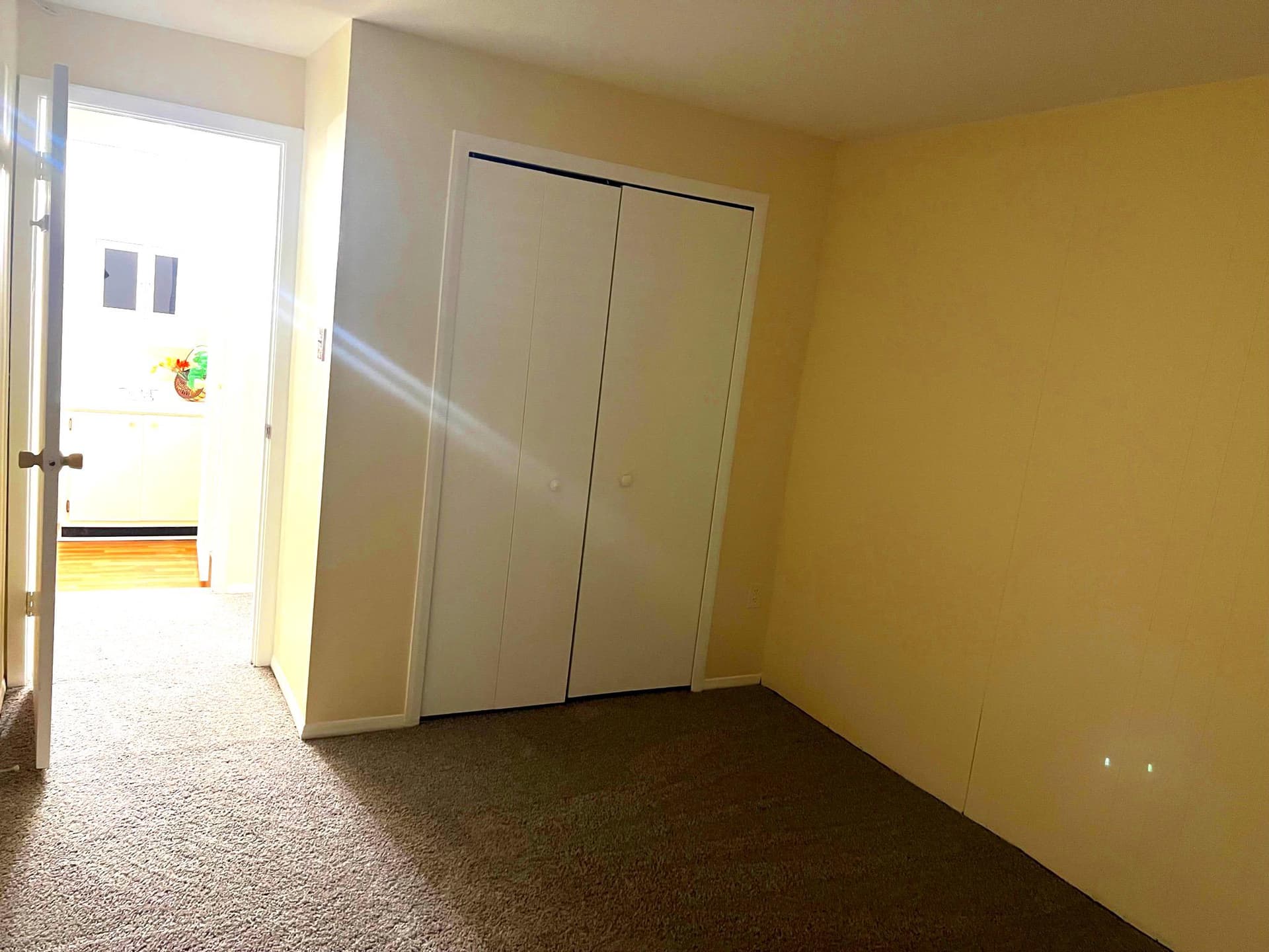 95 Blondell Court photo 41