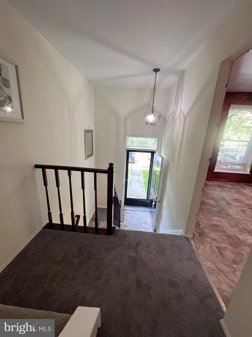 95 Blondell Court photo 48