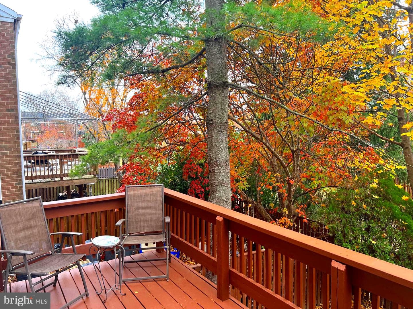 95 Blondell Court photo 50