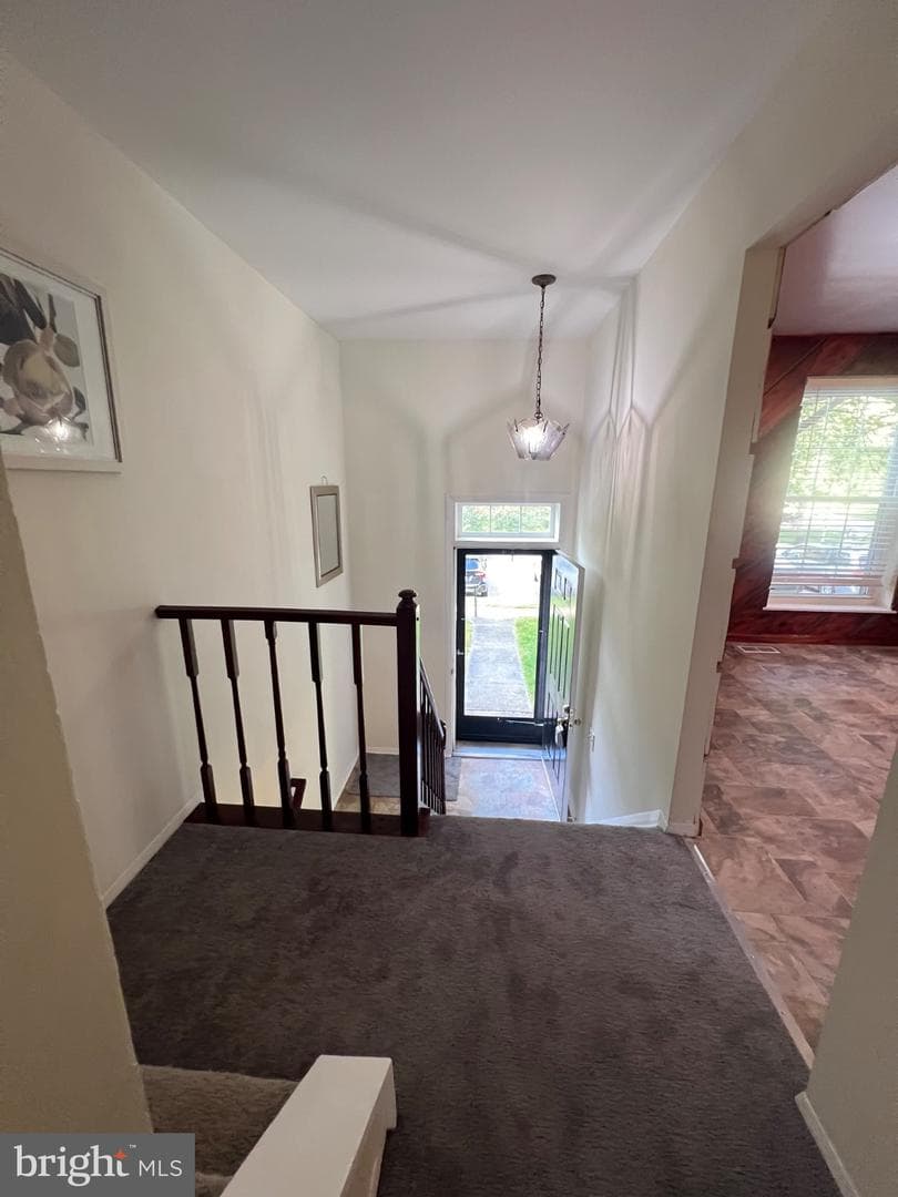 95 Blondell Court photo 8