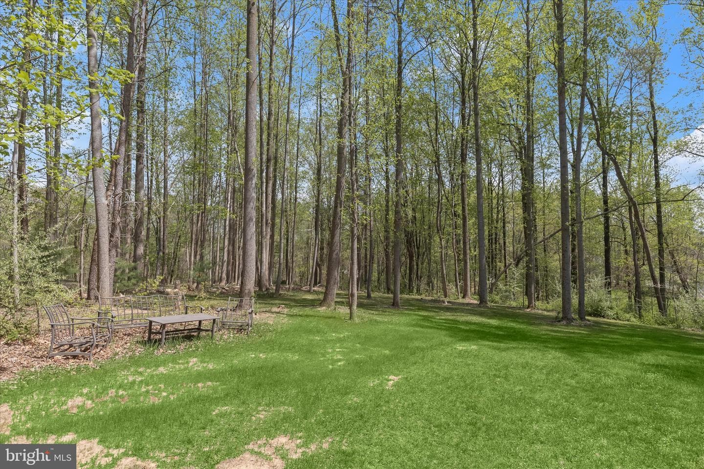 307 Red Meadows Court photo 69