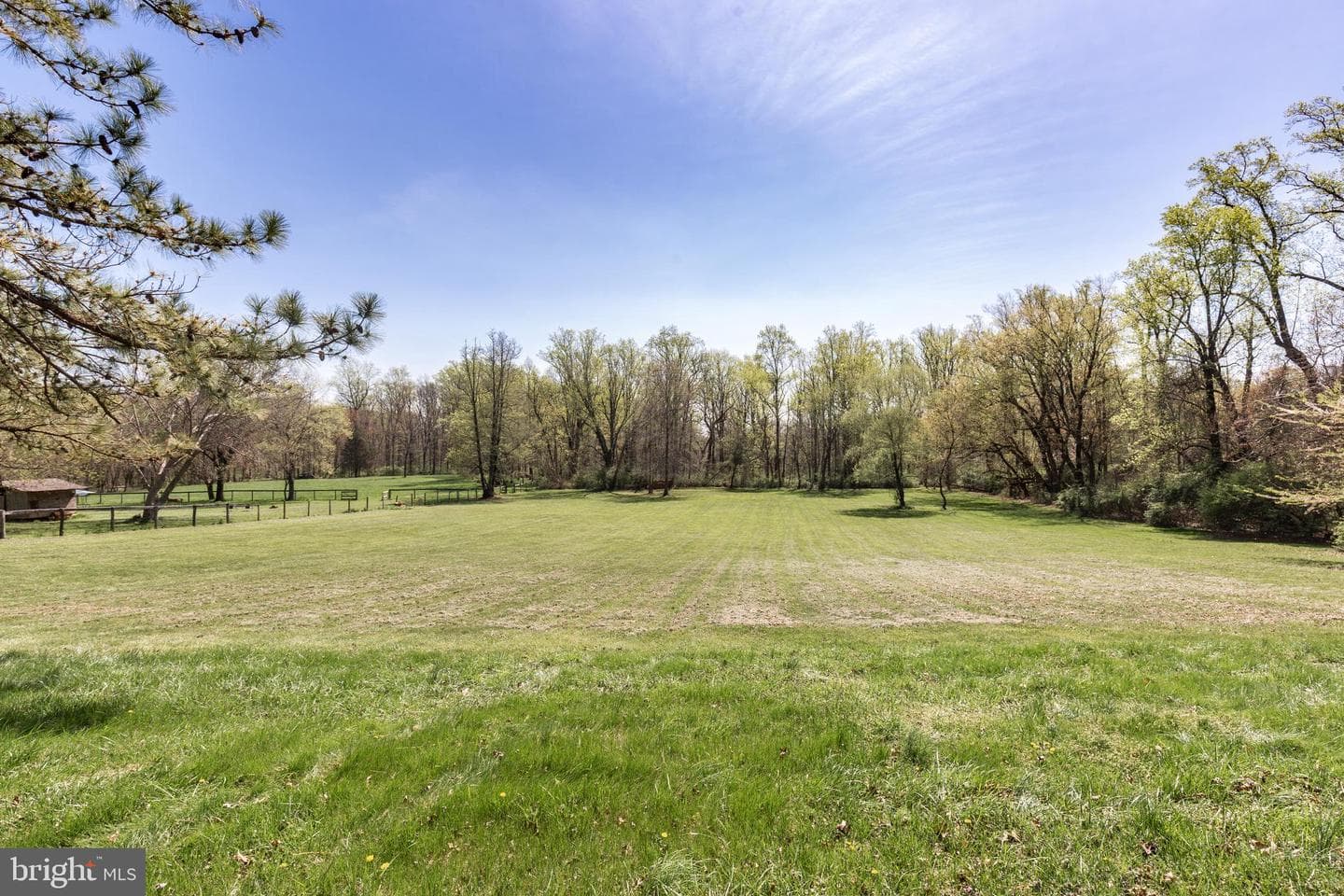 11501 Cedar Lane photo 48