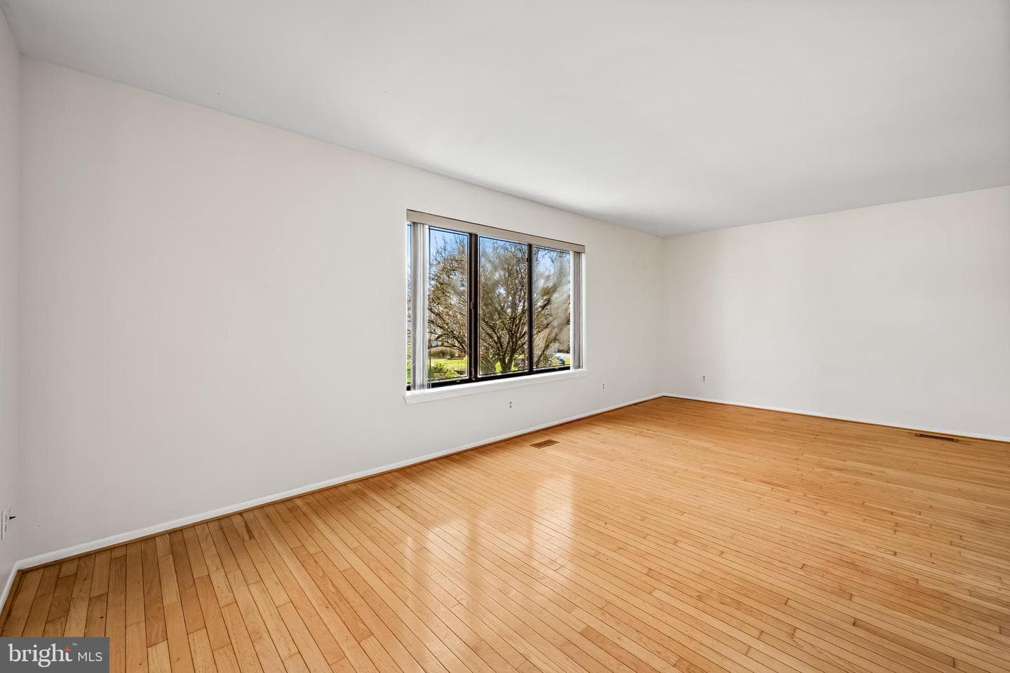 12204 Velvet Hill Drive photo 8