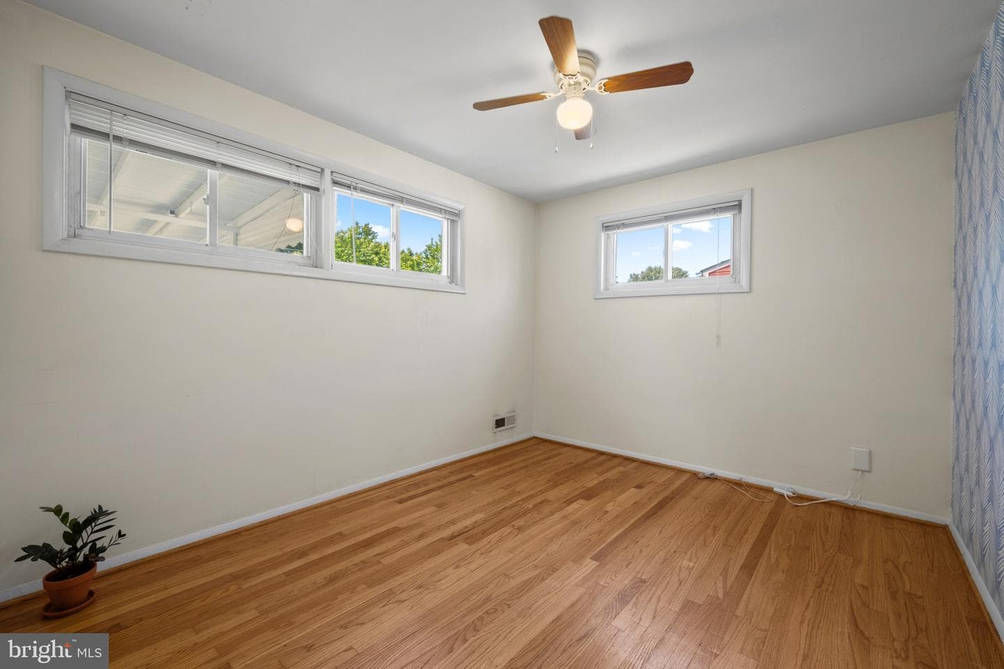8810 Lakewood Road photo 13
