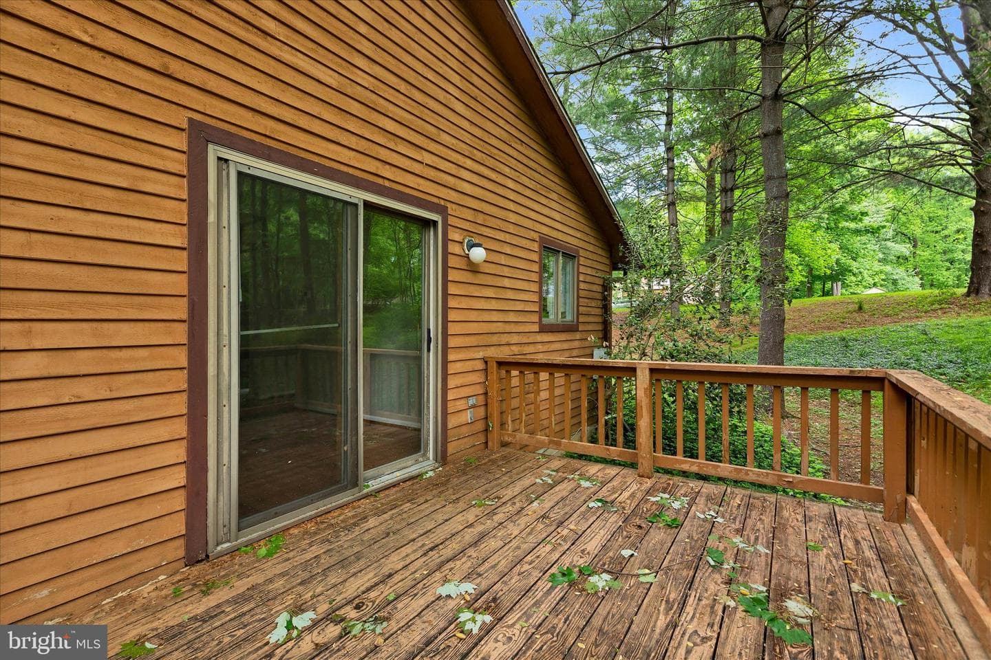 5 Timber Run Court photo 5