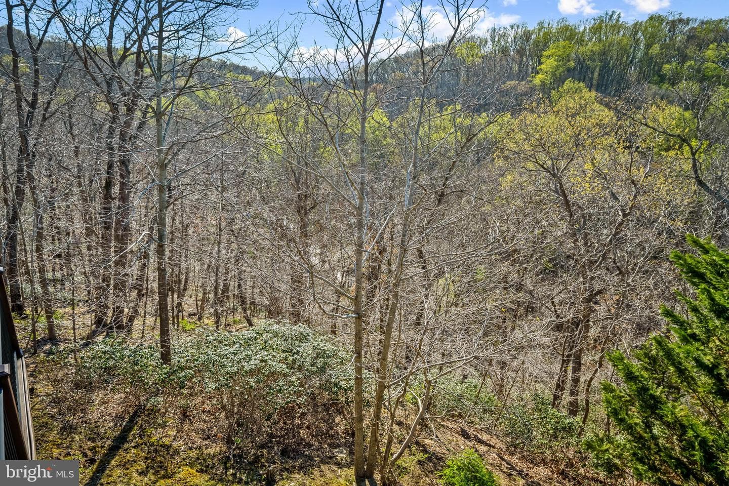 13040 Jerome Jay Drive photo 49